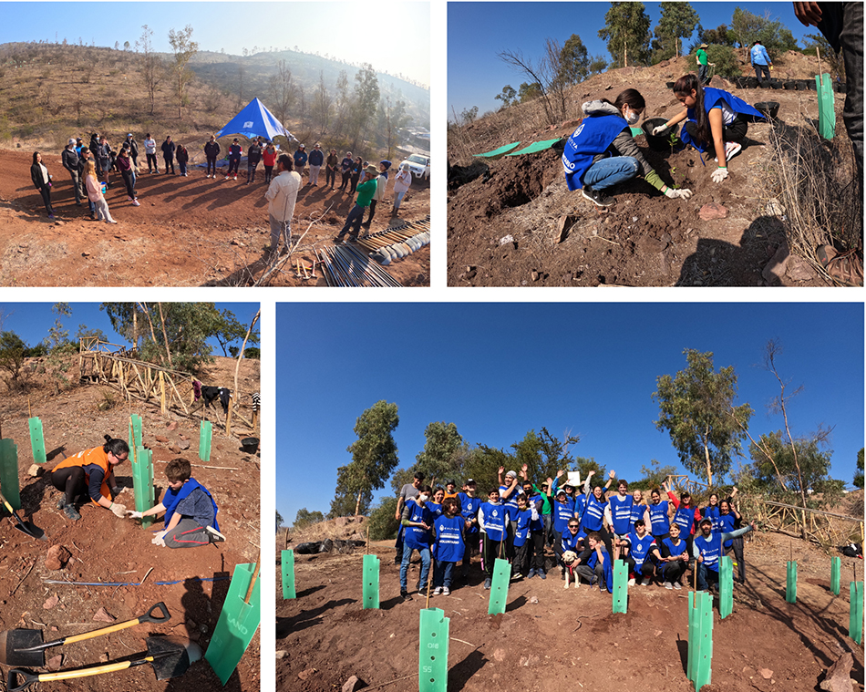 Around the Company in Pictures: Improving quality of life one tree at a time