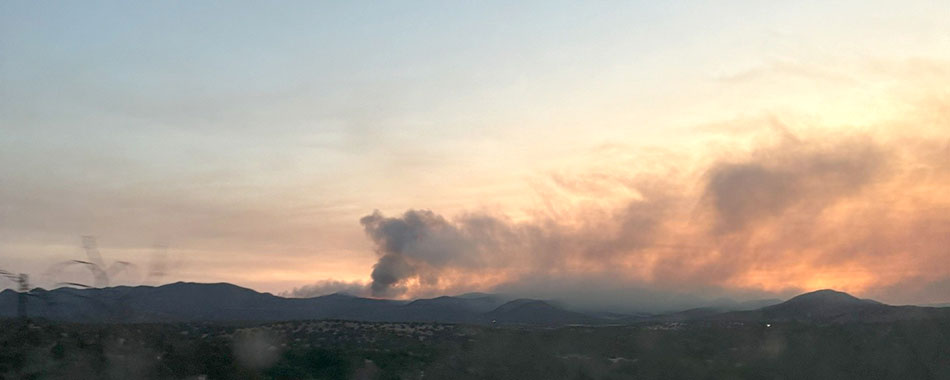 By the time it was contained, the Trout Fire had burned over 47,000 acres of the Gila National Forest